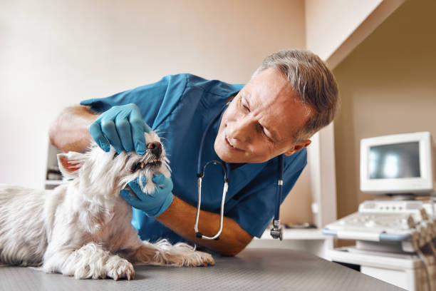 Best Emergency Treatment for Dental Infections or Abscesses in Corning, IA